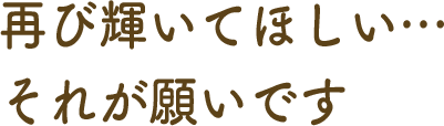 再び輝いてほしい・・・それが願いです